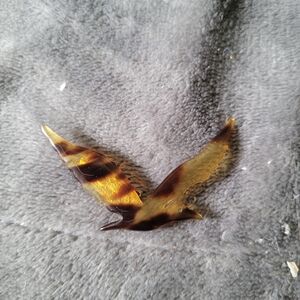 Vintage Bird Brooch, Brown Celluloid  Seagull Brooch